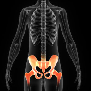 The hip bone is formed by three bones; ilium, ischium, and pubis.