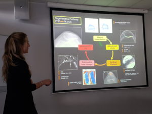 Outlining the link between knee cap pain in younger people and knee cap osteoarthritis later in life