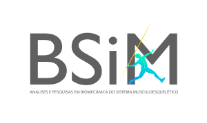 BSiM Logo